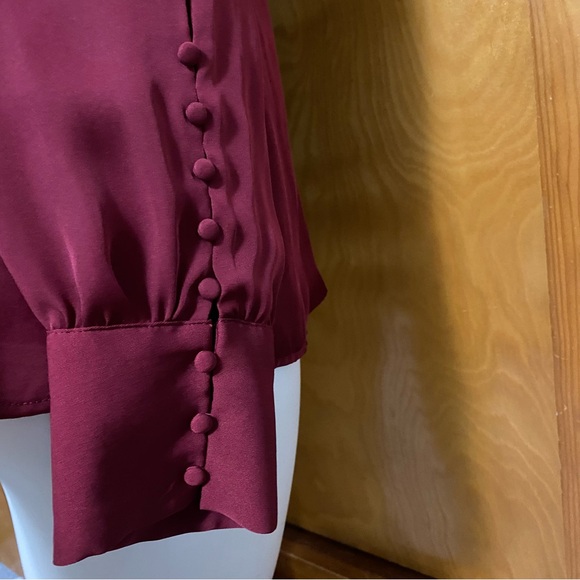 Burgundy Express Blouse with Buttoned Sleeves - Picture 3 of 3